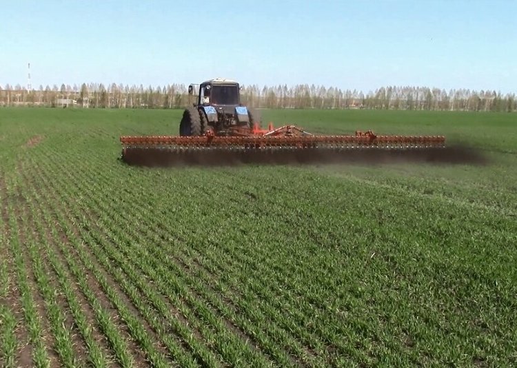 Борона ротационная БР-12